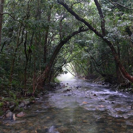 Heritage Lodge In The Daintree Cape Tribulation Ngoại thất bức ảnh