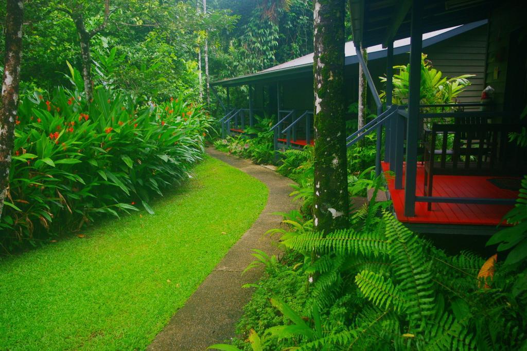Heritage Lodge In The Daintree Cape Tribulation Ngoại thất bức ảnh