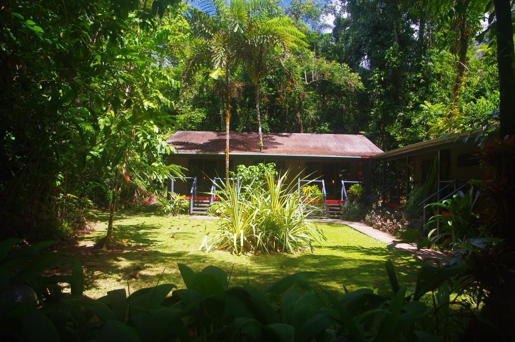 Heritage Lodge In The Daintree Cape Tribulation Ngoại thất bức ảnh