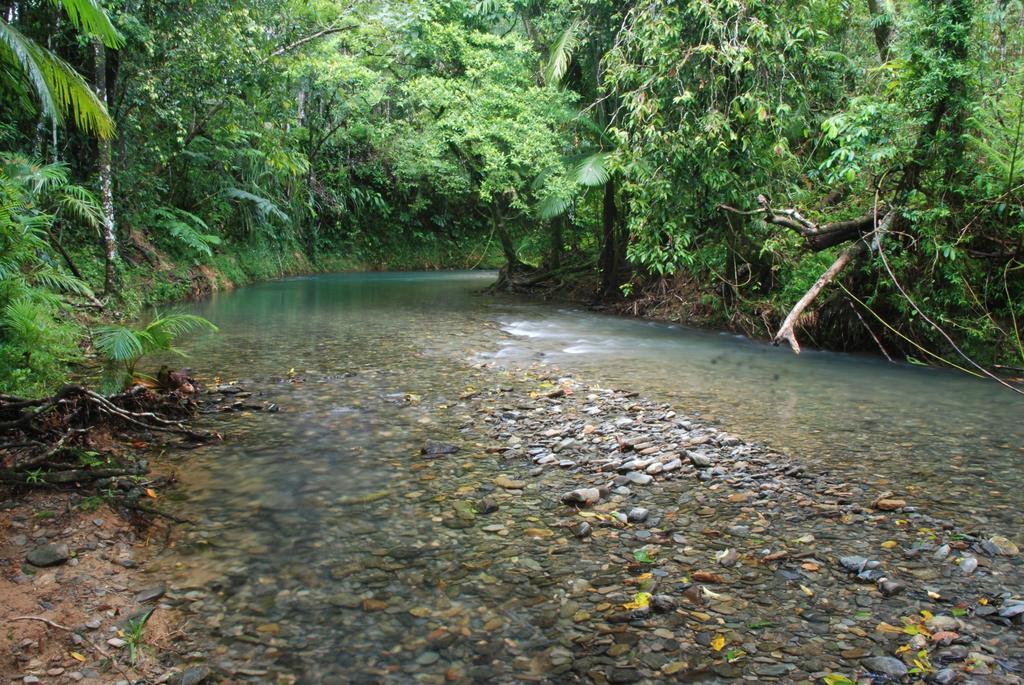 Heritage Lodge In The Daintree Cape Tribulation Ngoại thất bức ảnh