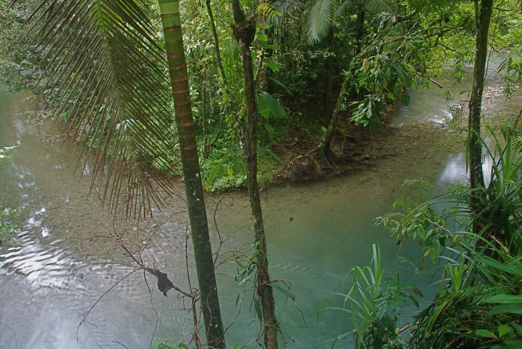Heritage Lodge In The Daintree Cape Tribulation Ngoại thất bức ảnh