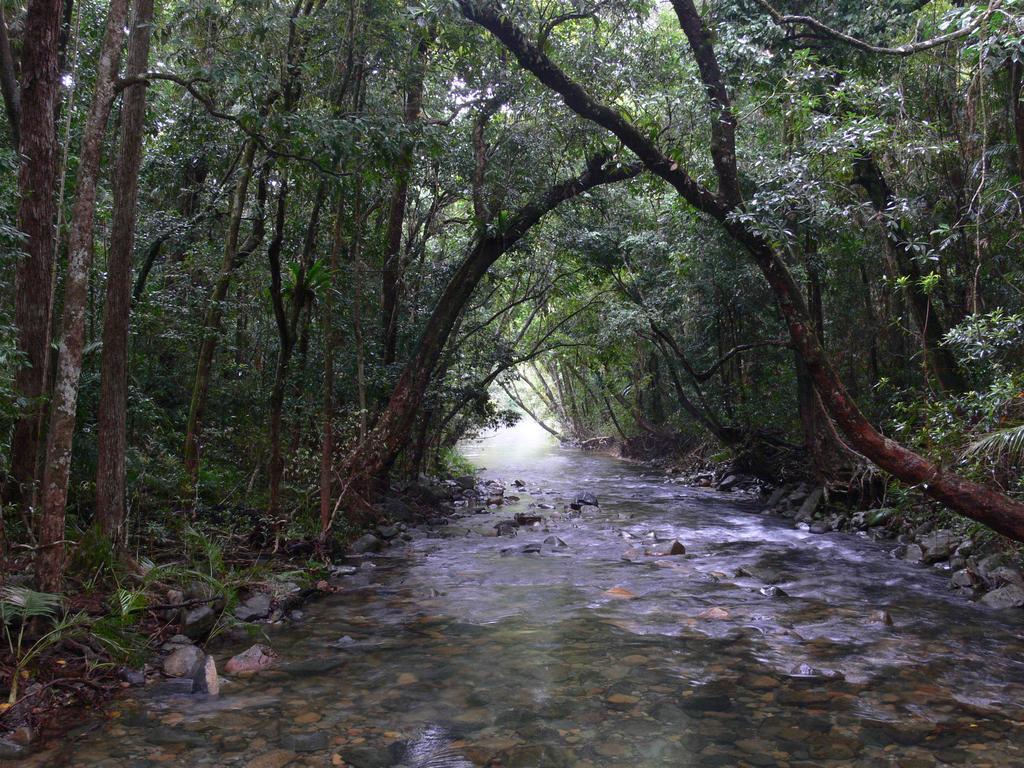 Heritage Lodge In The Daintree Cape Tribulation Ngoại thất bức ảnh